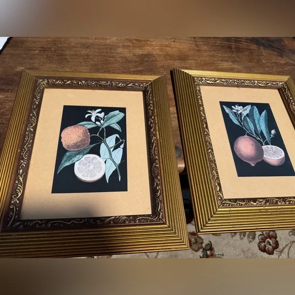 Gold Framed Botanical Art Prints - Picture 1 of 4